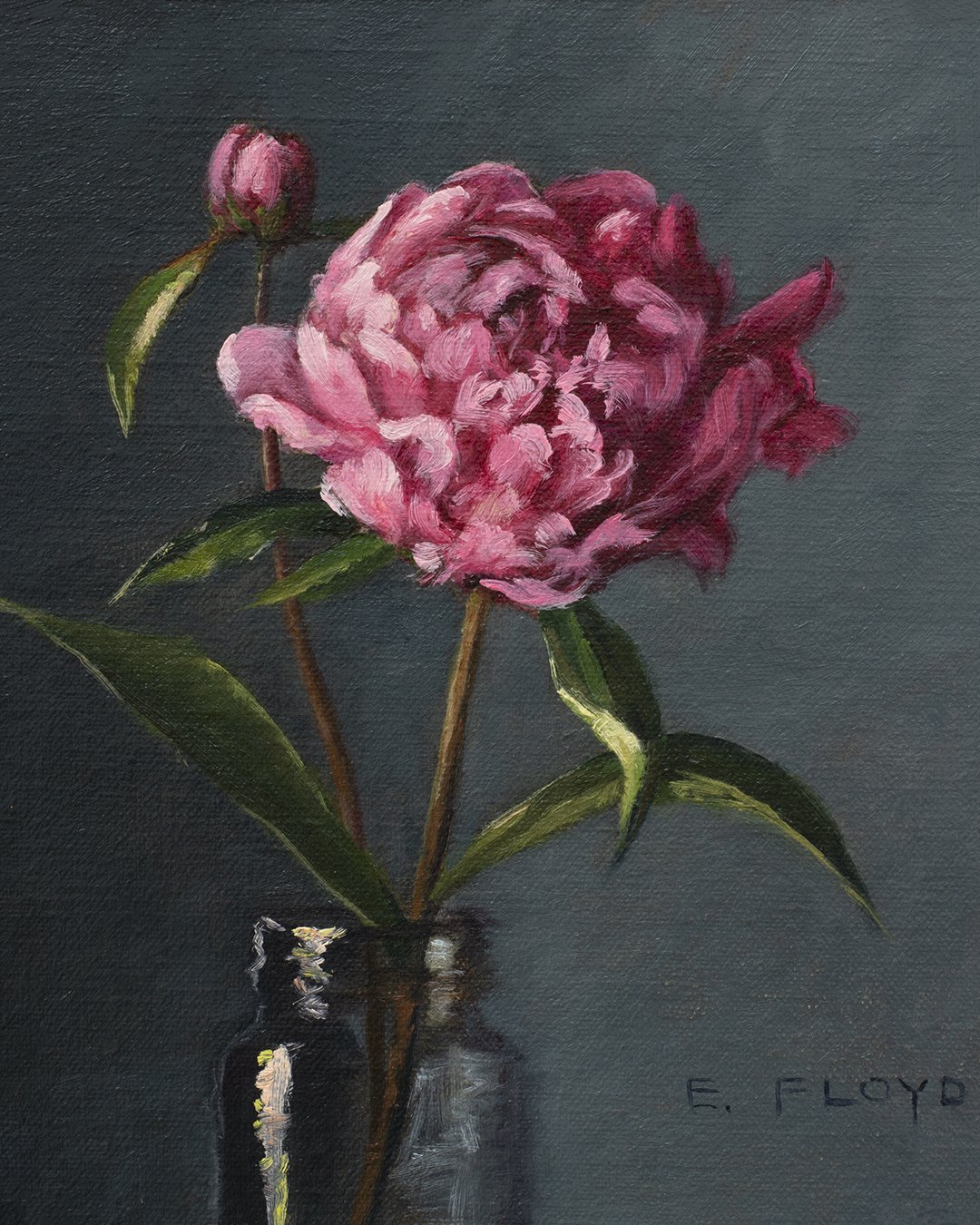 Peony, framed oil painting, 8 x 8 inches — Elizabeth Floyd